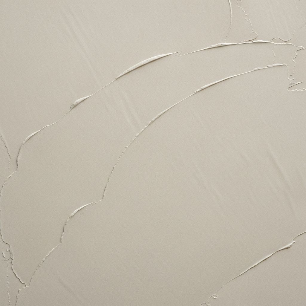 Professional plastering services